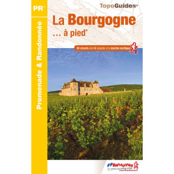 FFRP RE14 La Bourgogne... à pied® - 38 circuits