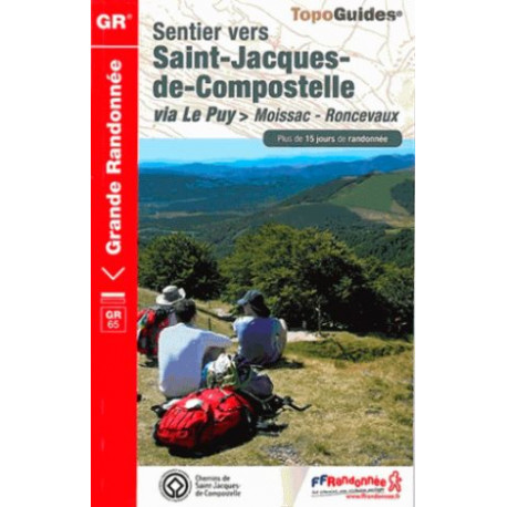 FFRP 653 - Sentier vers Saint-Jacques-de-Compostelle : Moissac-Roncevaux - GR®65