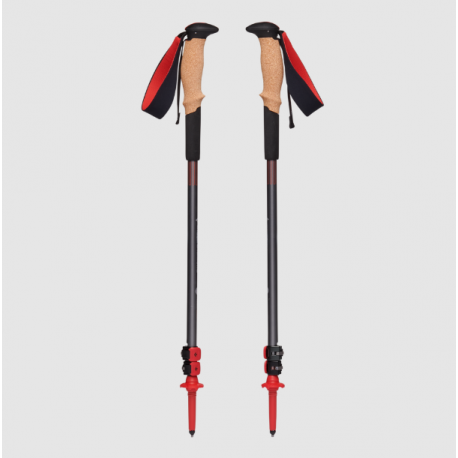 Black Diamond Pursuit Shock Poles.