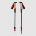 Black Diamond Pursuit Shock Poles.