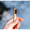 PAOS Brosse à dent de voyage.