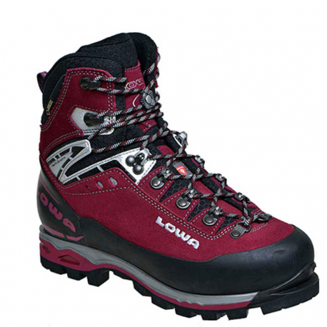 LOWA MOUNTAIN EXPERT GTX EVO WS
