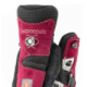 LOWA MOUNTAIN EXPERT GTX EVO WS