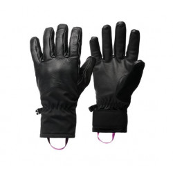 BlackDiamond Tour Gloves.