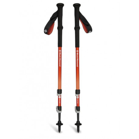 BlackDiamond Trail Back Poles.