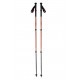 BlackDiamond Trail Back Poles.