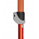 BlackDiamond Trail Back Poles.