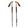 BlackDiamond Trail Cork Trekking Poles.