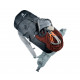 Deuter Trail 25.