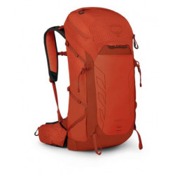 Osprey Talon Pro 30.