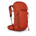 Osprey Talon Pro 30.