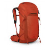 Osprey Talon Pro 30.