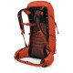 Osprey Talon Pro 30.