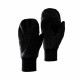 Mammut Roseg Mitten.
